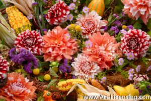 0112S-Dahlias and Pumpkins