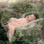 Baby (6)
