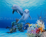 Dolphin Sweet