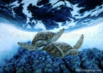 Turtle World