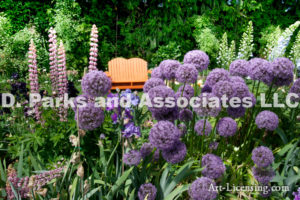 0001-Orange Bench in the Allium Flower Garden