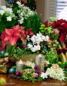 00013-Christmas poinsettia,Cyclamen,Shooting Star Hydrangea, Candles