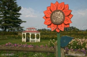 00016-Gazebo in the Flower Field