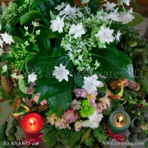 00026-Shooting Star Hydrangea, Red and Green Candles