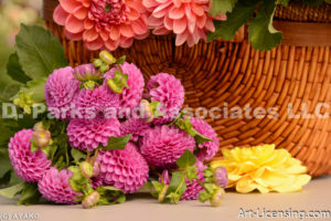 0211-Pink Dahlia Bouquet