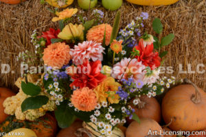 0503-Dahlia Bouquet-Pumpkins-Autumn