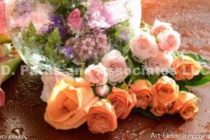 0653-Orange and Pink Roses