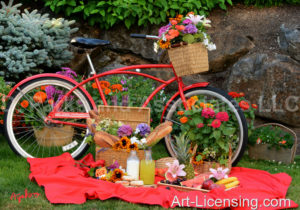 1673-Red Bicycle-Picnic