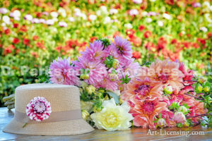 2588H-Dahlias Bouquet and Straw hat