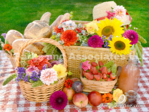 2795-Dahlia-Sunflower-Strawberry-Baskets-Straw Hat-on Picnic