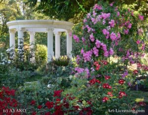 4507-Gazebo in the Rose Garden