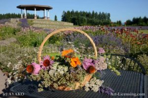 5149-Rudbekia Flower Basket and Gazebo in Lavender Garden