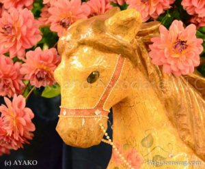 6526-Orange Dahlia-Wooden Horse