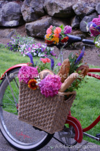 9070S-Flower Bouquet on the Bycicle