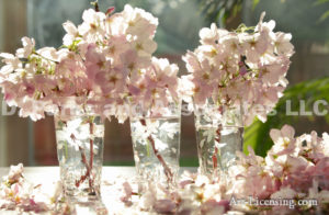 9453-Cherryblossom in Glass cups