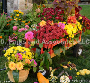 96730-Autumn Flowrs in the Wagon