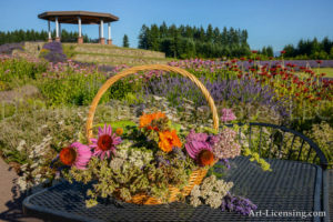 Flower Basket in Lavender Field with Gazebo