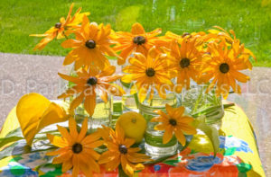 Yellow Rudbeckia in glasses