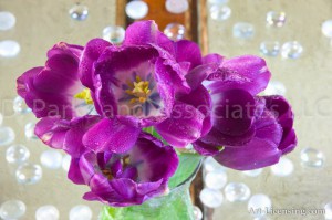 Purple Tulips Bouquet