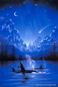 Killer Whale - Moonlight Night Journey