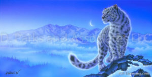 Snow Leopard-Beginning