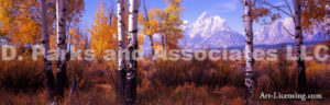 Tetons Wyoming-Autumn