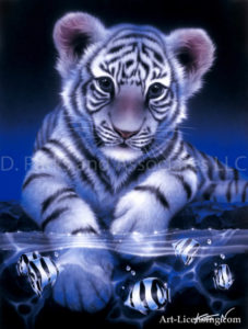 Tiger-White Baby Tiger