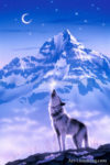 Wolf - Song of Alaska