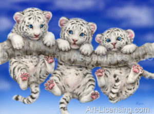 White Tiger Cub-Triplets