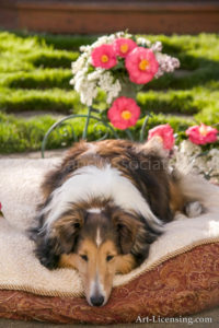 00276-Camellia with Sheltie Dog-by AYAKO