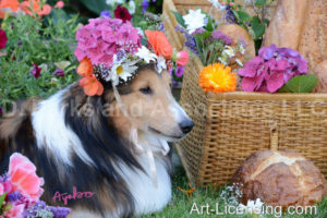 0592 Flowers on Bill Sheltie Dog-by AYAKO