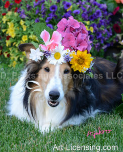 0604-Flowers on-Bebe Sheltie Dog-by AYAKO