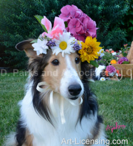 0675-Flowers on Bebe Sheltie-Dog-by AYAKO