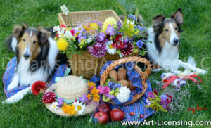 1571-Flower Picnic with Sheltie dogs-by AYAKO