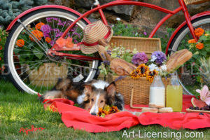 1719-Red Bicycle Picnic with-Bebe Sheltie dog-by AYAKO