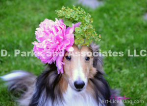 8406-Peony flower on Bill Sheltie Dog Head-by AYAKO