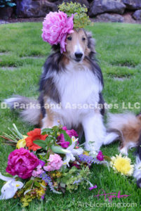 8413-Flower Bouquet and Peony flower on Bill Sheltie Dog Head-by AYAKO