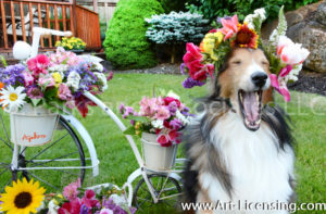 8728-Spring Flower Crown on Bill dog-by AYAKO