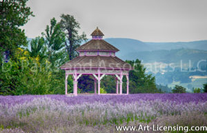 0018S-Gazebo in the Lavender Farm