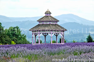 0022S-Gazebo on the Lavendar Field