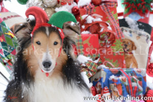 4940S-Sheltie Dog with Christmas Present