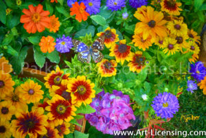 8324SArt-Rudbeckia Summer Garden Flowers and Butterfly