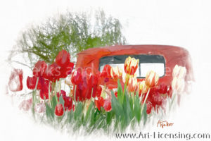 9984SRH-Red Tulips on Red Truck