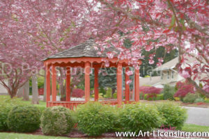 6239S-Cherry Blossom and Gazebo