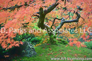 7673SART-Fall Colored Leaves Maple Tree