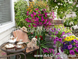 8955S-Petunia Balcony Teatime with Miniature Poodle