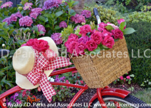 0339S-Red roses on red bicycle