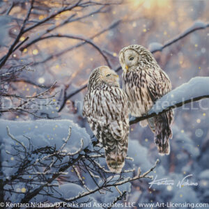 The Look of Love-Owls