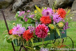 2057S-Dahlias and the Butterflies on Green Wagon