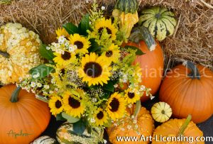 2268S-Sunflowers and Pumpkins